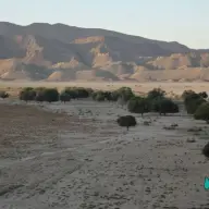 بنه بن دشت