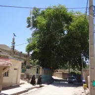 چنارمسجدابوالفضل