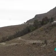 چنارهای قدمگاه حنیفه
