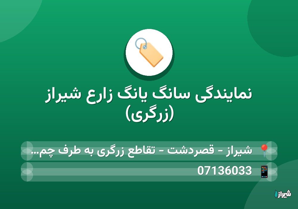 نمایندگی سانگ یانگ زارع شیراز (زرگری)