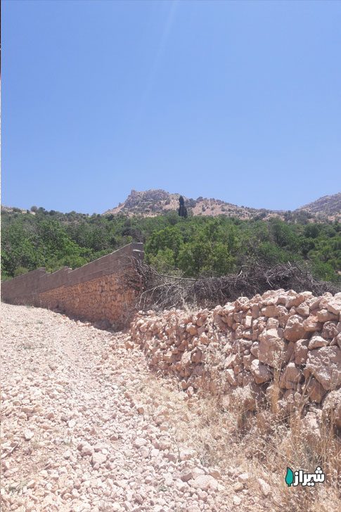 سروبورنجان — تصویر 5