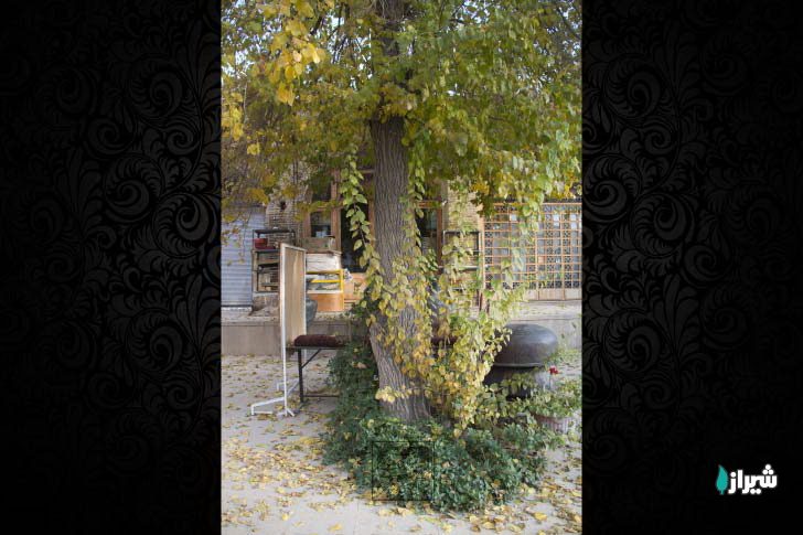 کاروانسرای فیل — تصویر 5