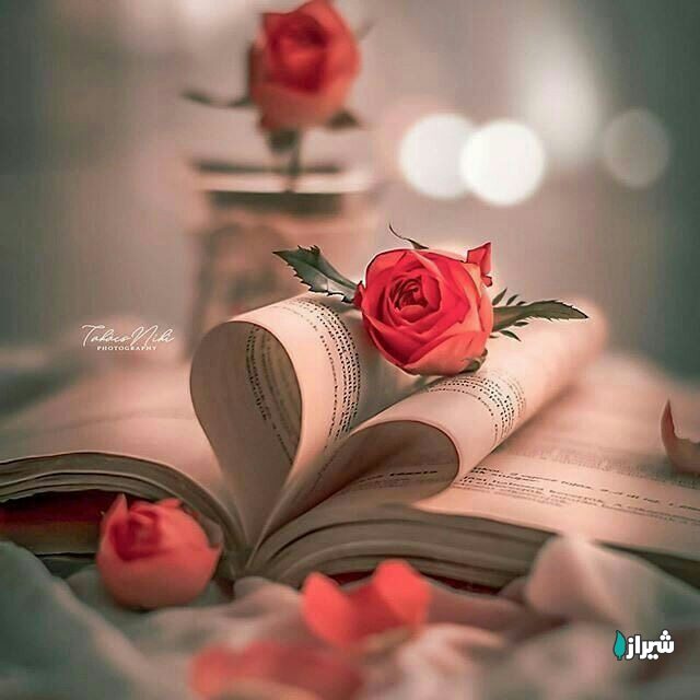 معلم صفیان