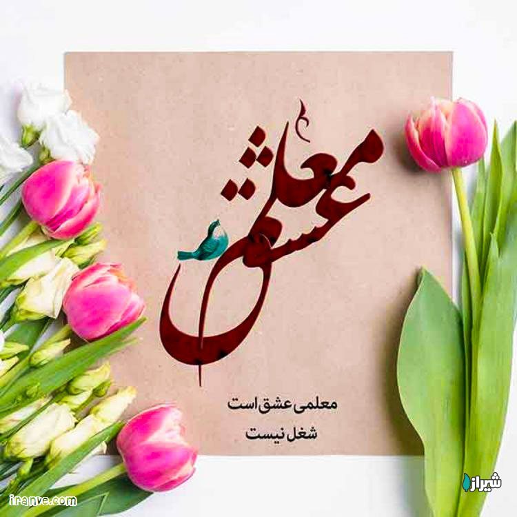 معلم زینب مرادپور (IT)