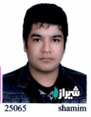 معلم محمد علی
